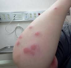 old world feel new world luxury