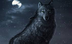 cool wolf wallpapers 13 fun chap