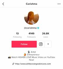 Well, if you think of yourself as a funny human being, then there's no harm in poking extra fun through the imaginative usage of your twitter bio. How To Optimize Your Tiktok Bio 5 Easy Steps Examples