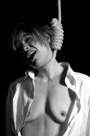 We offer a great variety of high quality dog collars, beds, harnesses and more. Ipns Www Ipfs Archive Online Archive Da Susancoquin Favs