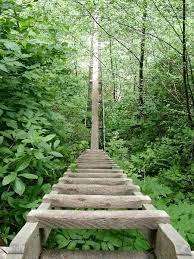 West Coast Trail Bri West Coast Trail British Columbia Enlarge Going Down The Ladders At Logan Creek West Coast Trail Vancouver Island British Columbia