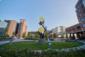 Abigail A. Whitten, NP