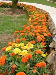 Pin On Beautiful Gardens