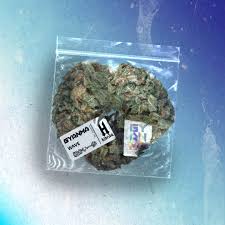 Stream WAVE by gyanma