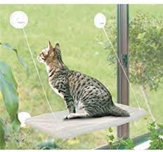 Put your cat's favorite blanket on it for extra cozy padding! Amazon Com Petpawjoy Cat Bed Cat Window Perch Window Seat Suction Cups Space Saving Cat Hammock Pet Resting Seat Safety Cat Shelves Providing All Around 360 Sunbath For Cats Weightedup To 30lb