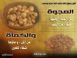 الطب النبوي coran islam