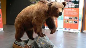 See this tour and others like it, or plan your own with komoot! Tierpark Bayerischer Wald Haus Zur Wildnis Tierfreigehege Ludwigsthal