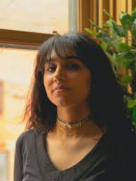 Robert Masur Fellowship in Civil Liberties