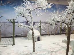 Kitaorg sewa kereta 5jam dgn student upm. Inside The 4 Seasons Building Picture Of Taman Botani Negara Shah Alam Tripadvisor