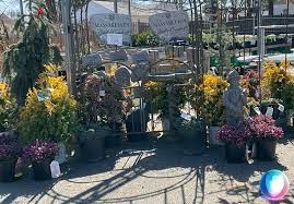 Support your mental health and wellbeing throughout spring by greening up your indoor space, sowing seeds and gardening. Roxbury Garden Center Facebook