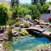 To introduce koi into other types of water features is usually a. 1
