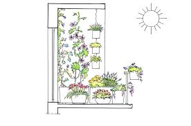 Fiori da balcone pendenti 3 piante a cascata facili. 22 Piante Per Riparare Un Terrazzo In Pieno Sole Casafacile