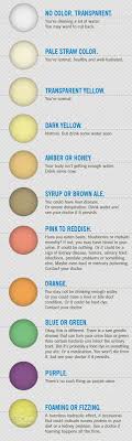 What The Color Of Your Urine Says About Your Health The Magic Of Life Color Health Pee Color