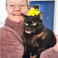 Testing Times for Tabitha Baird by Arabella Weir