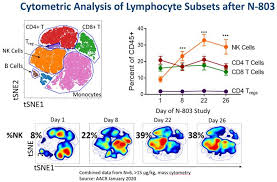 New (2) from $67.53 + $4.47 shipping. Nk 10k 20191231 Htm