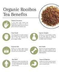 Rooibos Rooibos Tea Benefits Tea Benefits Rooibos Tea