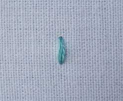 Dot Stitch Aka Double Seed Stitch Double Back Stitch Straight Stitch Stitch Basic Embroidery Stitches