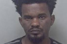 RSPCA inspectors rescue goose trapped in THONG form pond