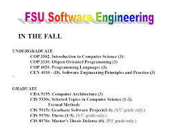 Computer science research topics for undergraduates. Topic A Practitioners View Of Software Engineering Undergraduate And Graduate Degree Programs At Fsu What Are The Courses Would Add Value To Existing Ppt Download