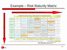 Project Risk Assessment Template Awesome Riskyproject Probability Vs Impact Matrix For Risk In 2020 Risk Matrix Project Risk Management Risk Management Strategies