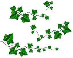 Vine Leaves Decoration Png Clipart Picture Flower Art Painting Vine Drawing Leaves Illustration