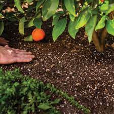 Walmart target lowes office depot macy's home depot cvs staples bj's. Kellogg Garden Organics 1 Cu Ft Palm Cactus And Citrus All Purpose Indoor And Outdoor Mix 137 The Home Depot