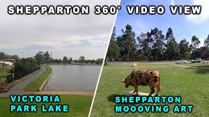 What's a visit to shepparton without a walk around the lake?! Shepparton Victoria Park Lake Moooving Art 360 View Youtube