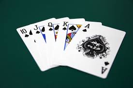 「トランプカード」の画像検索結果