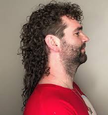 Maybe you would like to learn more about one of these? Top 30 Amazing Mullet Hairstyles For Men Cool Mullet Hairstyles