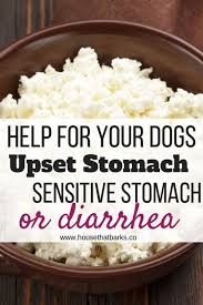 Dogs With Diarrhea Sensitive Stomachs Or An Upset Stomach Here Are Some Recipes That Work Great Healthy Dog Food Recipes Dog Food Recipes Homemade Dog Food