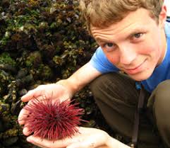 Vol. 43, Issue 2 Winter 2024/25