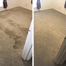 It's easy to assume that carpet and pets just don't mix very well considering how difficult it used to be to keep carpet clean even without a wool is a naturally stain resistant, durable fabric. Beyer Carpet Cleaning Pet Stain Removal Pet Urine Odor Removal