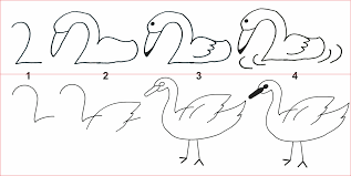 Mewarnai bebek gif gambar animasi animasi bergerak 100 gratis. Cara Menggambar Bebek Dengan Mudah Seni Budayaku