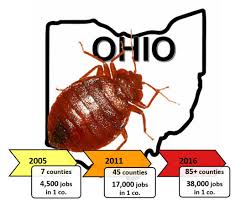 Call a pest professional for assistance in treating furniture you want to keep. Insects Free Full Text Magnitude And Spread Of Bed Bugs Cimex Lectularius Throughout Ohio Usa Revealed By Surveys Of Pest Management Industry Html