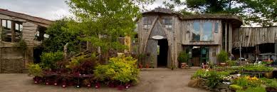 Future Forests Garden Centre Cork Ireland Forest Garden Images Of Ireland Mail Order Plants
