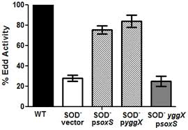262 balancing chemical equations answer key : The Soxrs Response Of Escherichia Coli Is Directly Activated By Redox Cycling Drugs Rather Than By Superoxide Abstract Europe Pmc