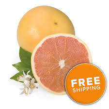 Image result for Grapefruit