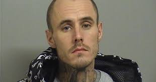 Family outraged at plea deal after son mauled to death by dogs