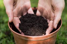 How to get odors out of houseplantsdetermine which houseplant is the culprit. Potting Soil 101 How To Choose The Right Potting Mix For Your Plants Garden Design