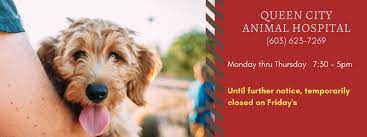 The hospital offers services for small animal medicine and surgery, large animal queen city animal hospital, hooksett, nh. Queen City Animal Hospital Home Facebook