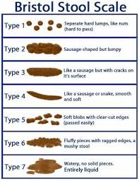 26 logical constipation stool chart