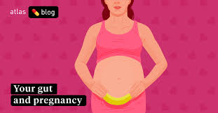 The third trimester of pregnancy can be tiring and uncomfortable. Gastroenteritis In Pregnancy Diarrhea In Early Pregnancy And Gut Problems
