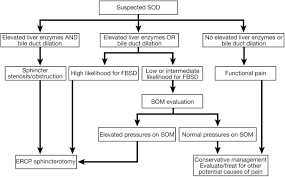 Recurring severe or moderate pain that lasts for more how is sphincter of oddi dysfunction diagnosed? Cost Effective Therapy For Sphincter Of Oddi Dysfunction Clinical Gastroenterology And Hepatology