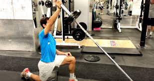 Image result for Shoulder Strength Exercises