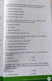 Kunci jawaban matematika kelas 9 halaman 30, 31,32 semester 1 ini juga memperjelas semua materi tahap per tahap, sesuai dengan pembagian materi tadi. Penilaian Bab 9 Kelas 9 Halaman 196 Tolong Jawab Kk Brainly Co Id