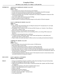 corporate credit analyst resume samples