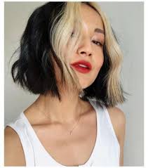 Tu pourrais plutot faire des meches blondes en dessous de tes cheveux si tu en veux vraiment, ca pourrait faire du style. Skunk Hair La Tendance Cheveux Bicolore Pour L Automne 2020