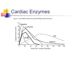 Cardiac Enzymes