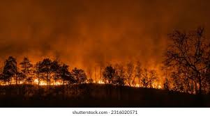 Image result for tbn:XVFRz-6Maj2JLM::www.jolmag.co.za/wildfire/images/Logos/vuvuzela_header.jpg