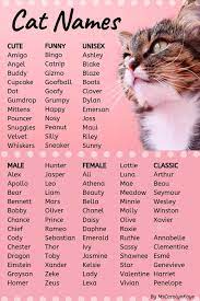 This List Of Cat Names Offers Ideas For Male And Female Cats Whether You Re Looking For Classic Cute Funny Or Unisex Cat Na Katzen Namen Katzennamen Katzen